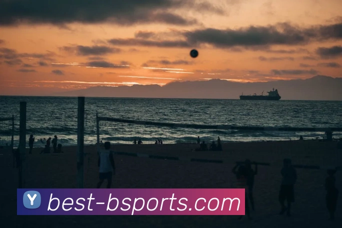 B体育APP 封面图